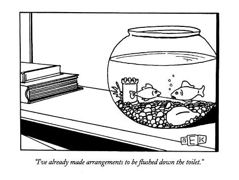 Cartoon Flushing Toilet