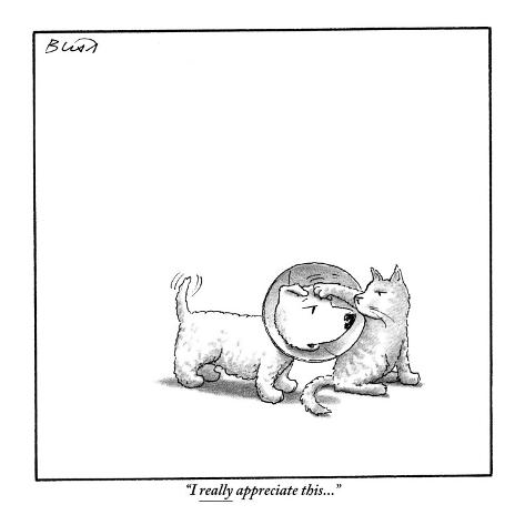Bliss Cartoon