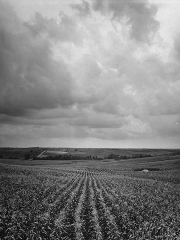 Aerial View Farmland
