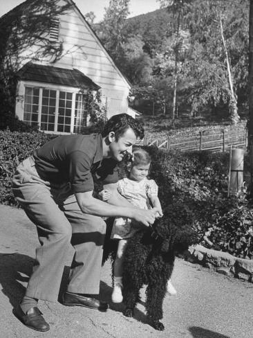 the power of marriage man wife and dog blog man