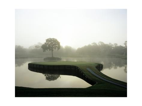 tpc 17th hole