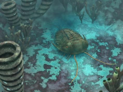 stocktrek-images-an-olenoides-trilobite-scurries-across-a-middle-cambrian-ocean-floor.jpg