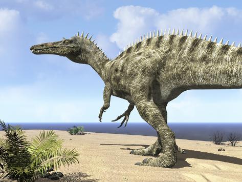 A Carnivorous Suchomimus Wanders a Beach on the Ancient Tethys Ocean Fotografiskt tryck