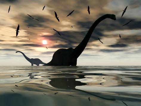 stocktrek-images-diplodocus-dinosaurs-bathe-in-a-large-body-of-water.jpg