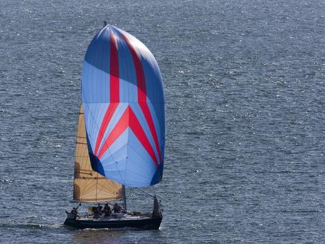 Sailboat Flying Spinnaker During a Race LÃ¡mina fotogrÃ¡fica