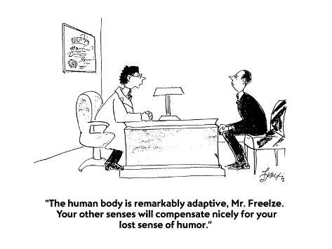 Human Body Senses