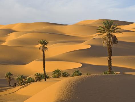 In Desert