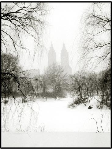 Central Park Snow Photographic Print