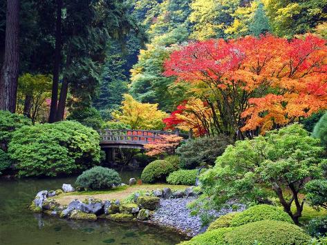 Fall Colors at Portland Japanese Gardens, Portland Oregon Photographic Print