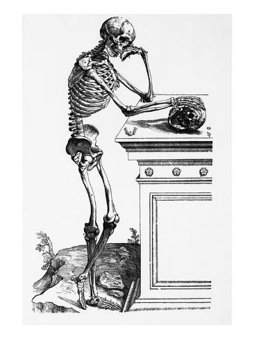 Skeleton Print