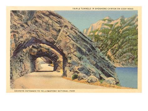 Montana Yellowstone Park