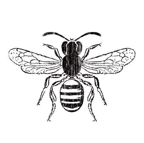 Bee Art