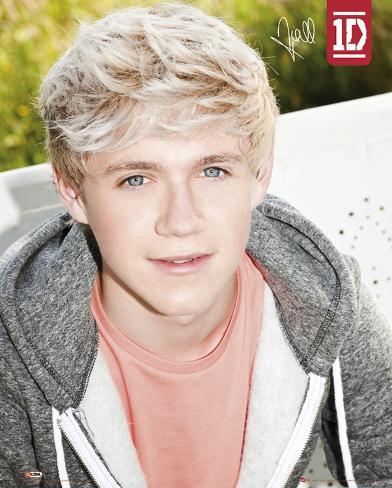  Direction Nial on One Direction Niall Photo At Allposters Com