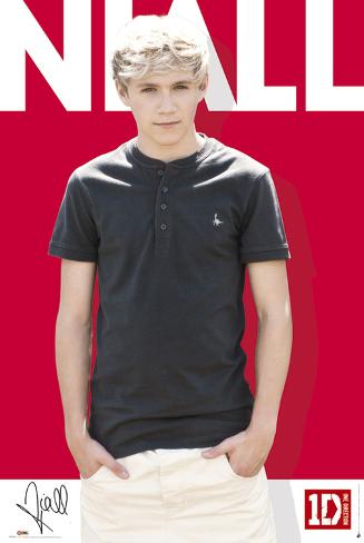 Niall Direction on One Direction Niall Colour Poster At Allposters Com