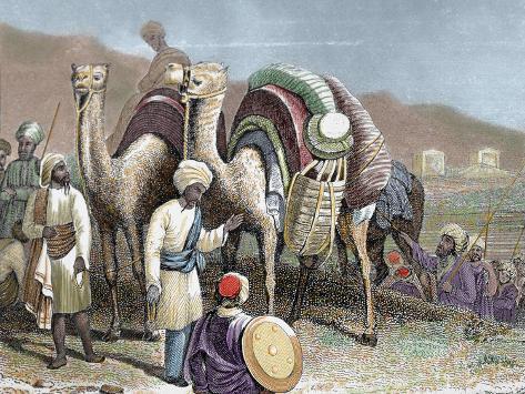 Silk Road, Caravan of Camels Resting, Antioch, Prisma Archivo