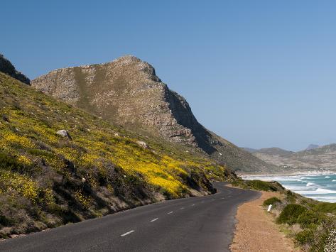 Cape Town Roads