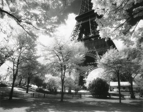 Afternoon in Paris (Eiffel Tower, Park) Art Print