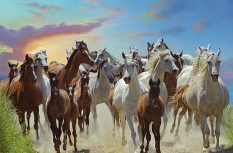 roaming-free-horses-art-poster-print.jpg