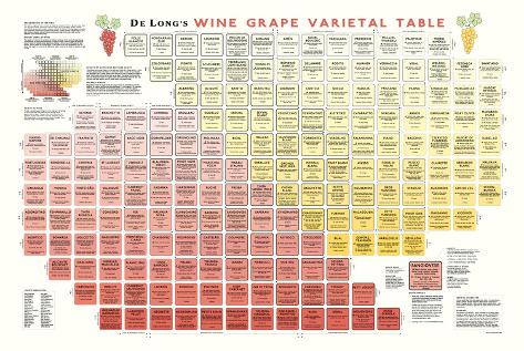 Wine Grape Varietal Table Art Poster Print Posters - AllPosters.co.uk