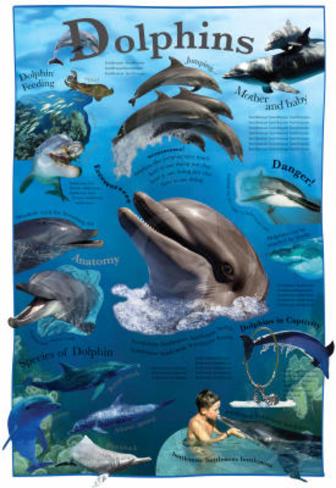 laminated poster