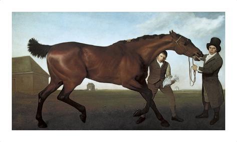 Hambetonian Rubbing Down Hambletonian Rubbing Down