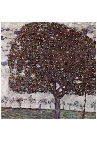 6310 cherry tree gustav klimt apple tree 2 poster print print at allposters 6310 cherry tree gustav klimt apple tree 2 poster print print at allposters