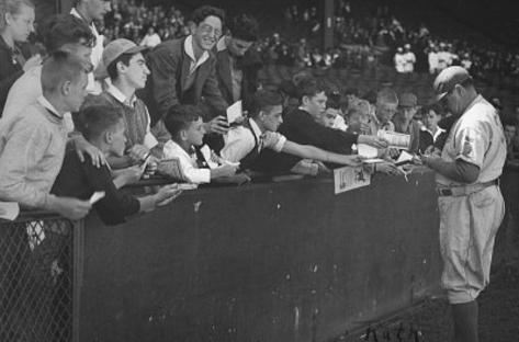 Babe Ruth Dodgers