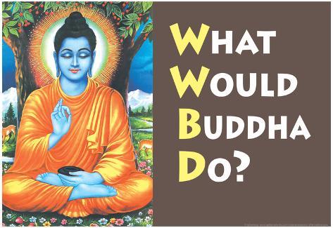 What Would Buddha Do Funny Poster Print Poster
