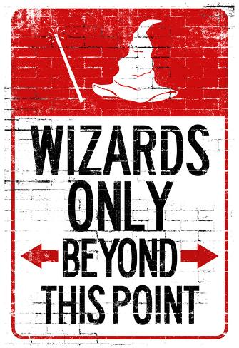 Wizards Only Beyond This Point Sign Poster Poster