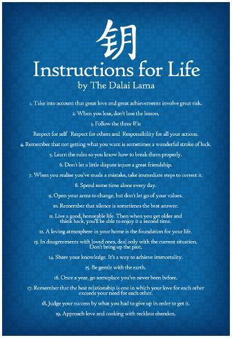 ... Lama Instructions For Life Blue Motivational Poster Art Print Poster