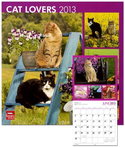 Dating for cat lovers uk