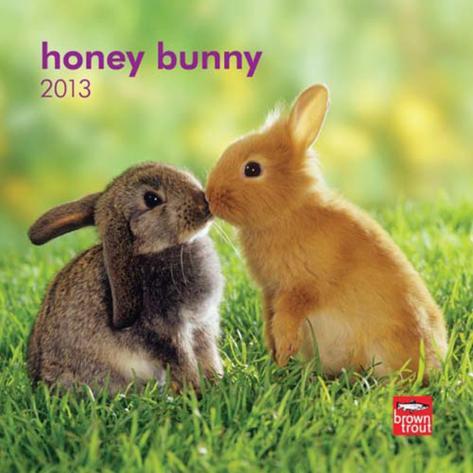 Honey Bunny Lyrics - Sinhalese