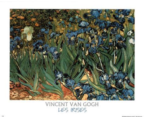 Les Irises