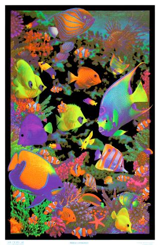 living-reef-flocked-blacklight-poster-ar