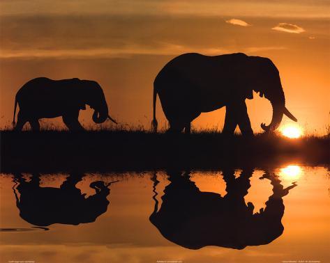 African Art Silhouette