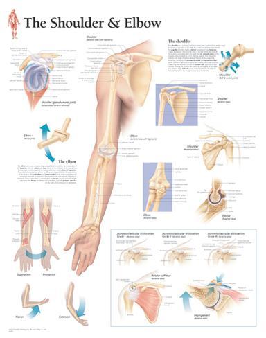 chronic pain help