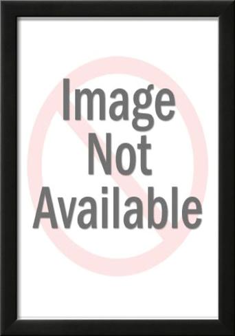 american indian prints