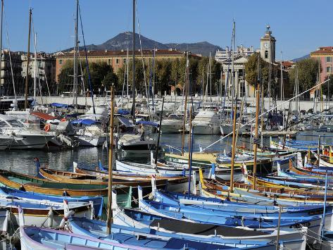 chat alpes maritimes