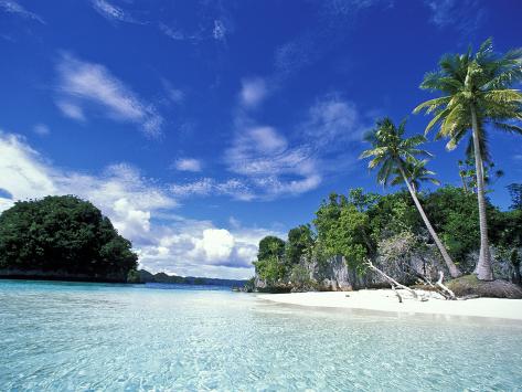 Bay of Honeymoon Island, World Heritage Site, Rock Islands, Palau Photographic Print