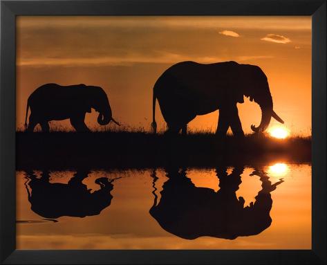 African Silhouette Pictures