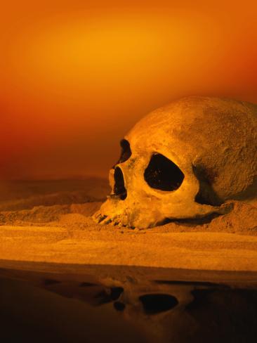 Skull In Sand