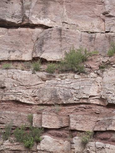 Bedding Sedimentary Rocks