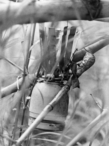 vietnam war traps