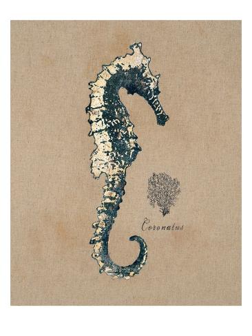 Vintage Linen Seahorse Prints by Regina-Andrew Design at ... - Vintage Linen Seahorse Art Print