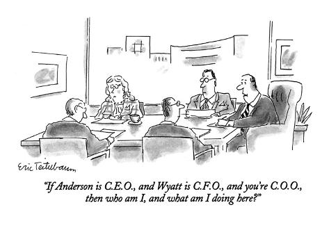  - eric-teitelbaum-if-anderson-is-c-e-o-and-wyatt-is-c-f-o-and-you-re-c-o-o-then-who-a-new-yorker-cartoon
