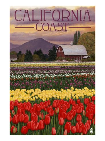 cambria california tulip farm poster di lantern press su allposters it cambria california tulip farm poster di lantern press su allposters it