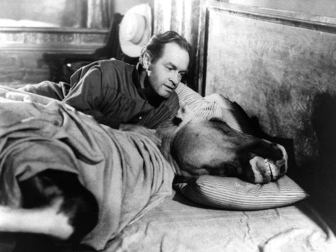 son-of-paleface-bob-hope-trigger-1952.jp