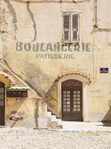 chat haute corse