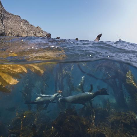 Channel Islands Reisen Channel Islands Reisen