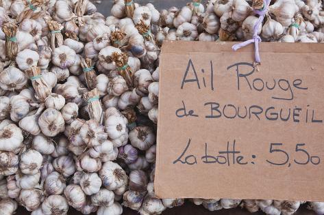 chat indre et loire
